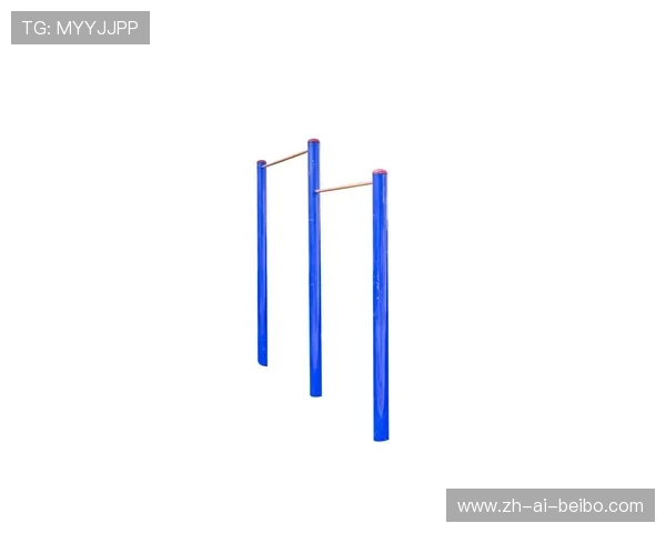 组合型健身器材品牌的比较与使用技巧